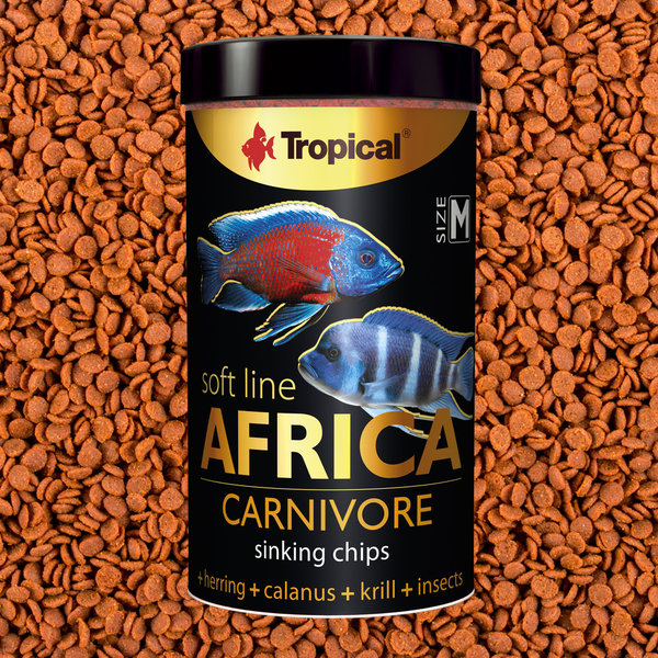 Tropical Soft Line Africa Carnivore  M 0,25L (250ml) Fischgröße ab 12cm (21)