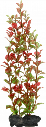 "Tetra DecoArt Plantastics Red Ludwigia "S" 15cm"