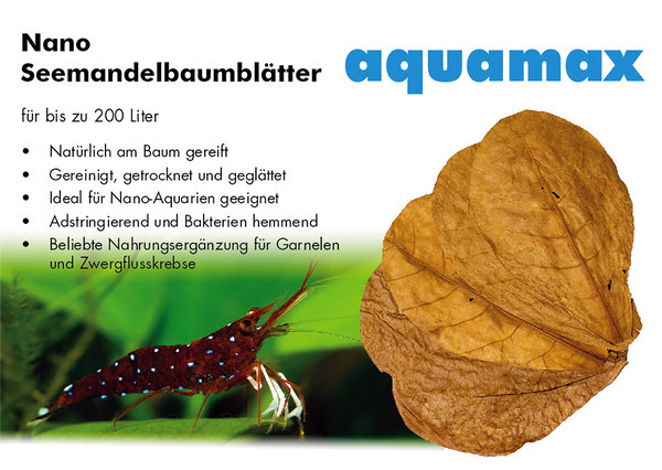 aquamax Seemandelbaumblätter (Terminalia Catappa Leaves) Inhalt: 10 Stk.